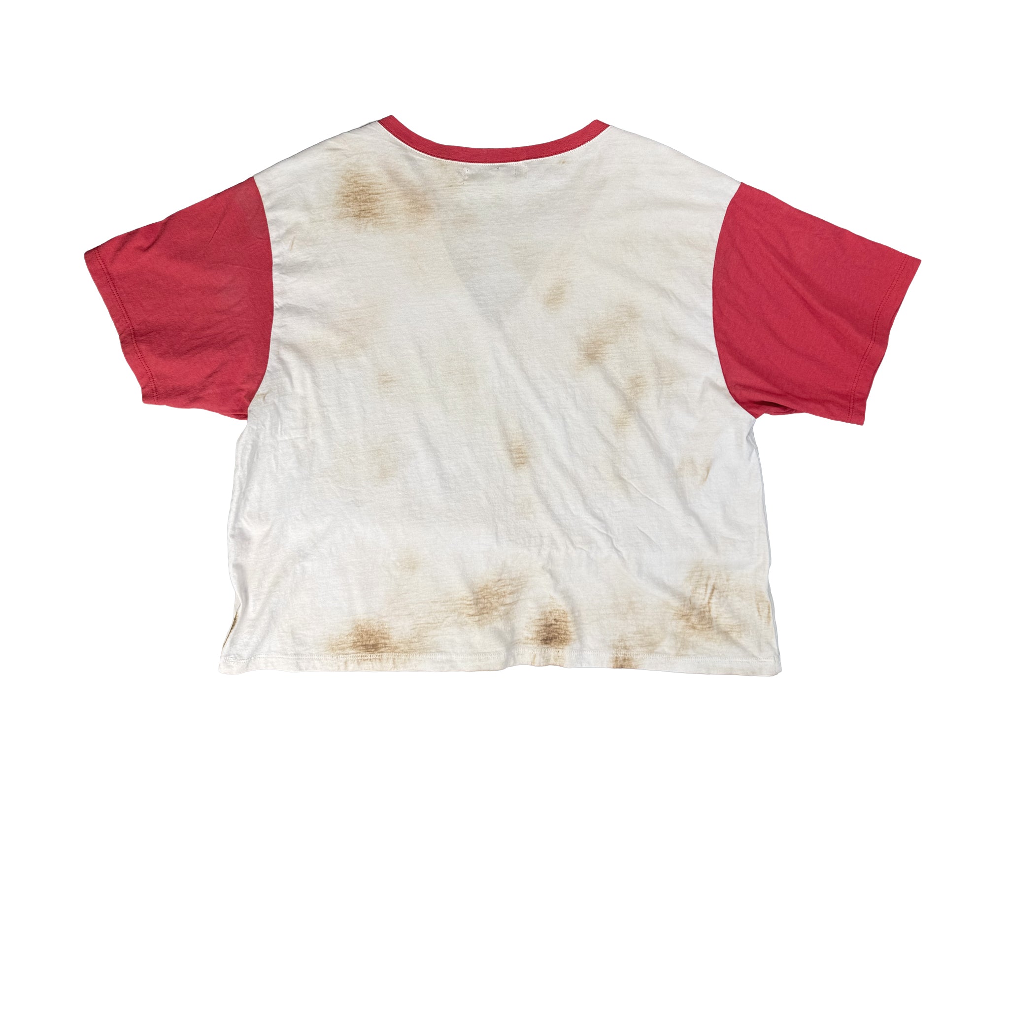 Georgia Bull Torch Tee