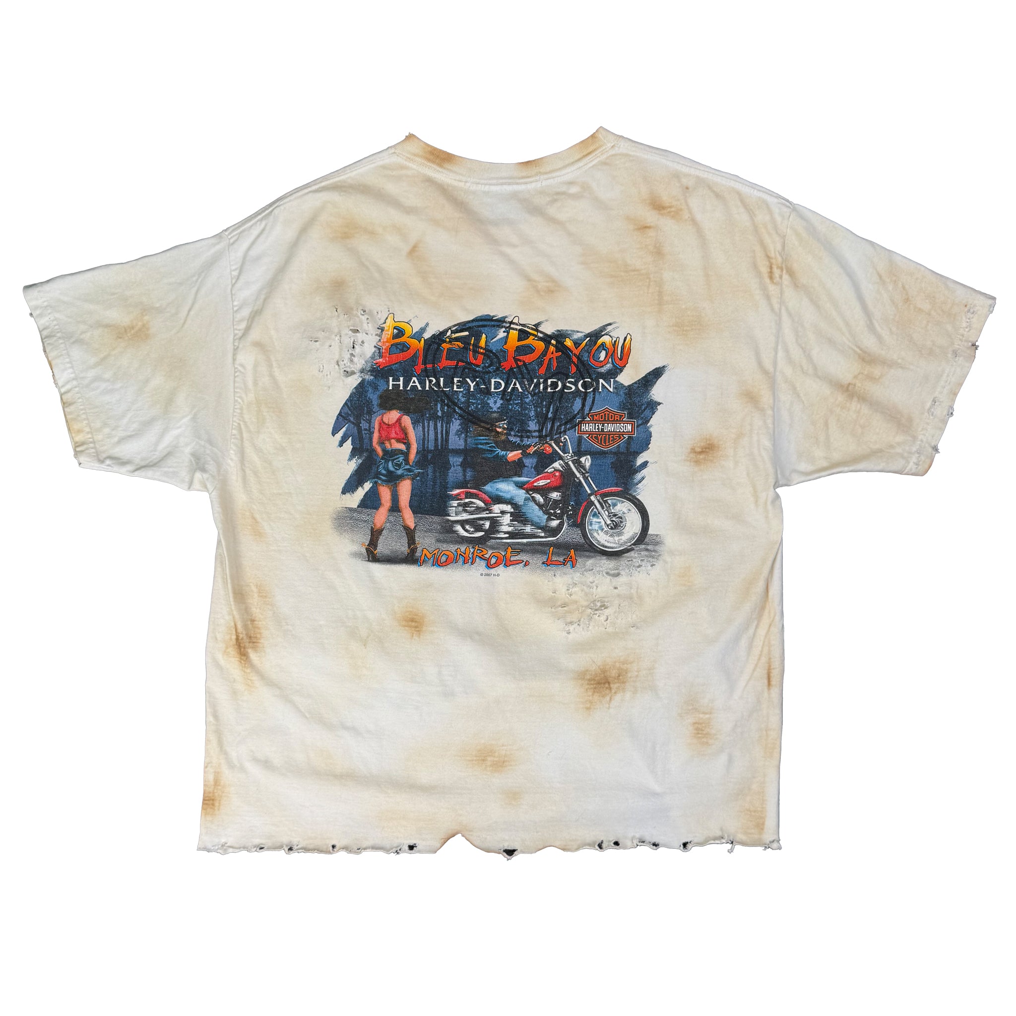 Vintage Harley Bayou Torch Tee